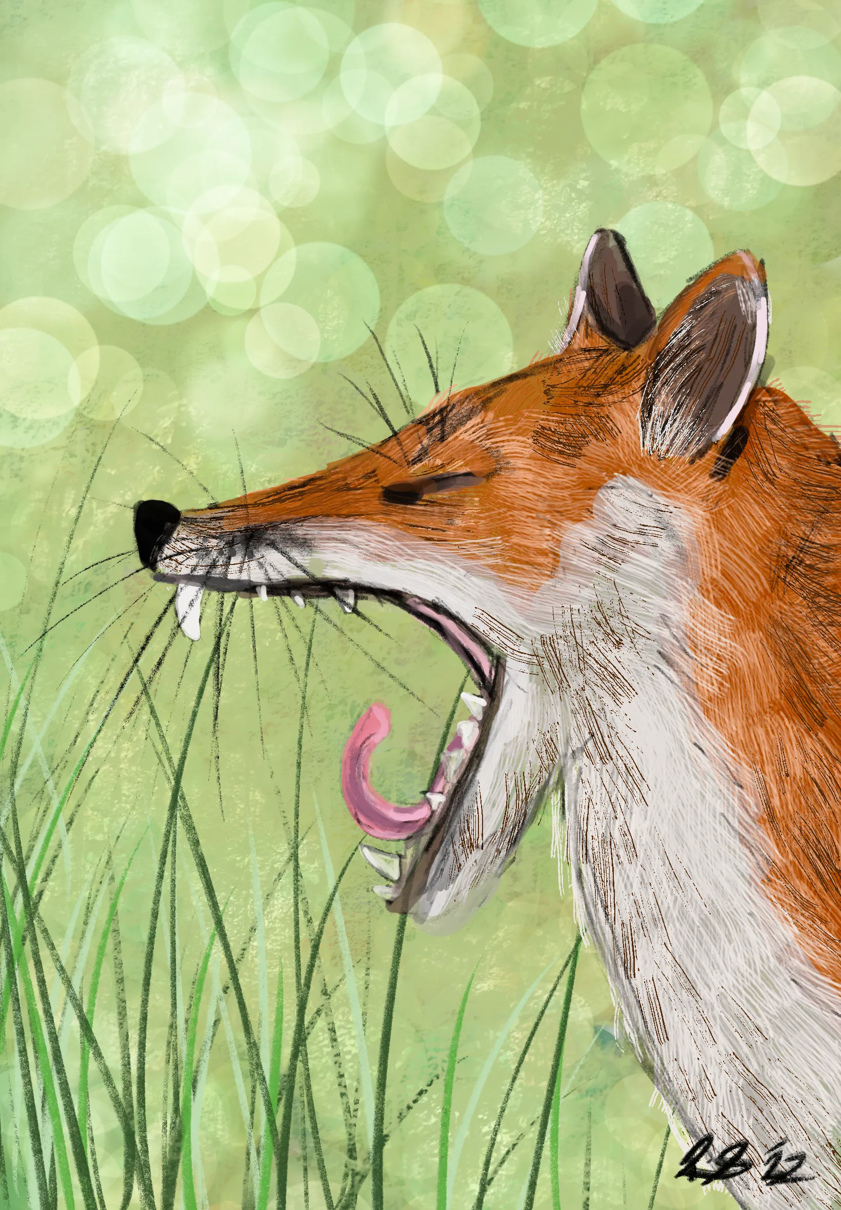 Fox
