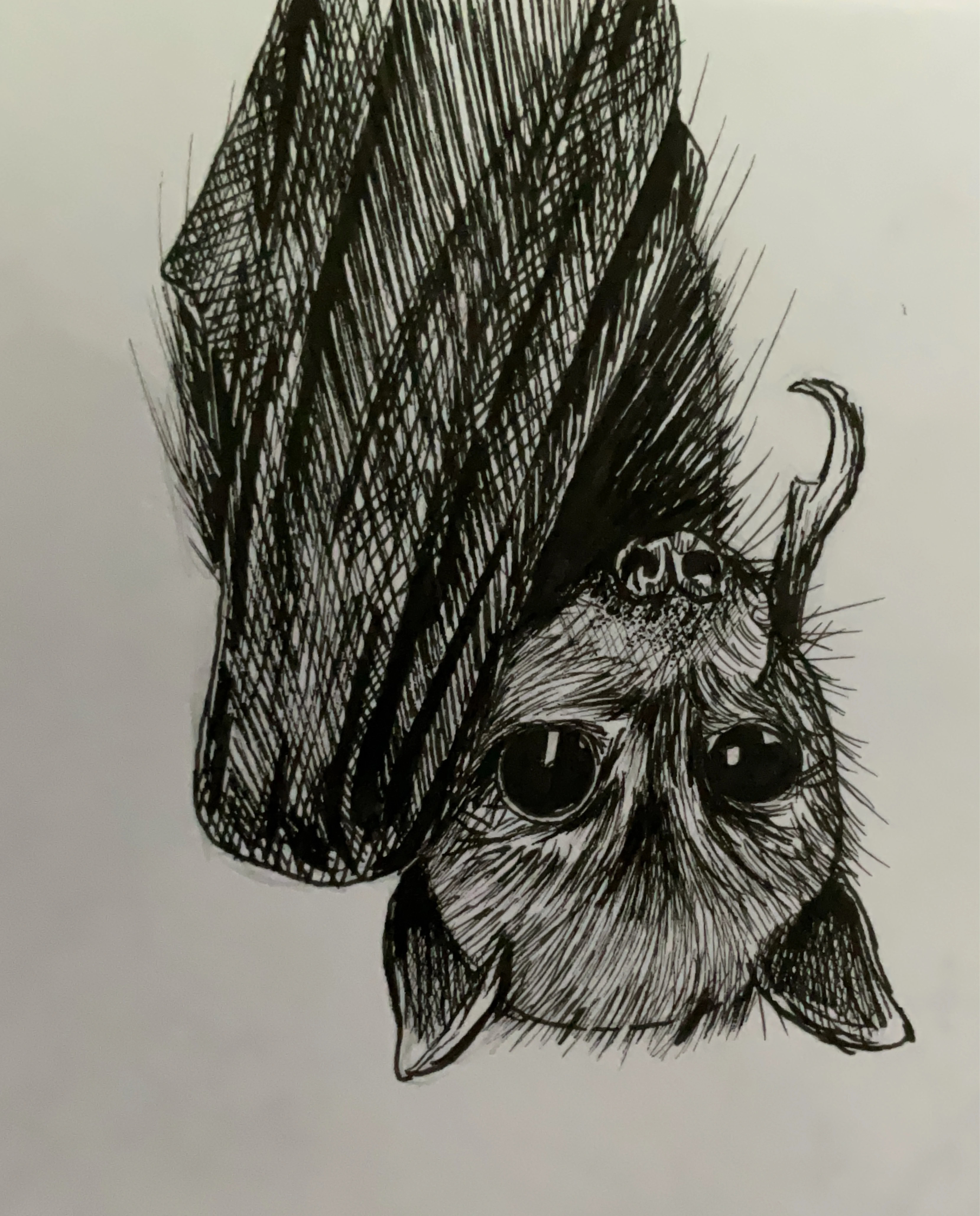 Symbolic Representation 6